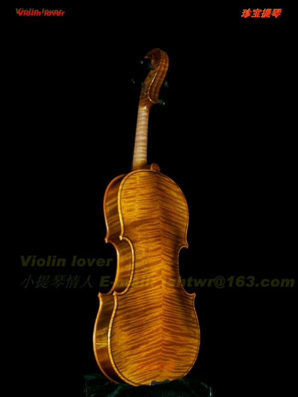 Violin----My_lover(502) 摄影 小提琴情人