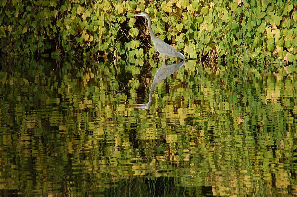 nature-230 摄影 fengsheng