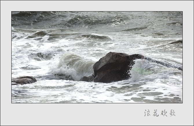 浪花飞歌 摄影 山野布衣