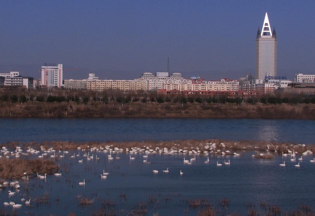 三门峡市区边的天鹅湖 摄影 tiane