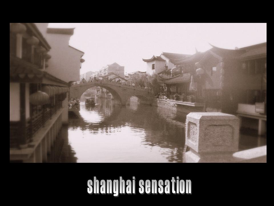 shanghai sensation 7 摄影 Sadine