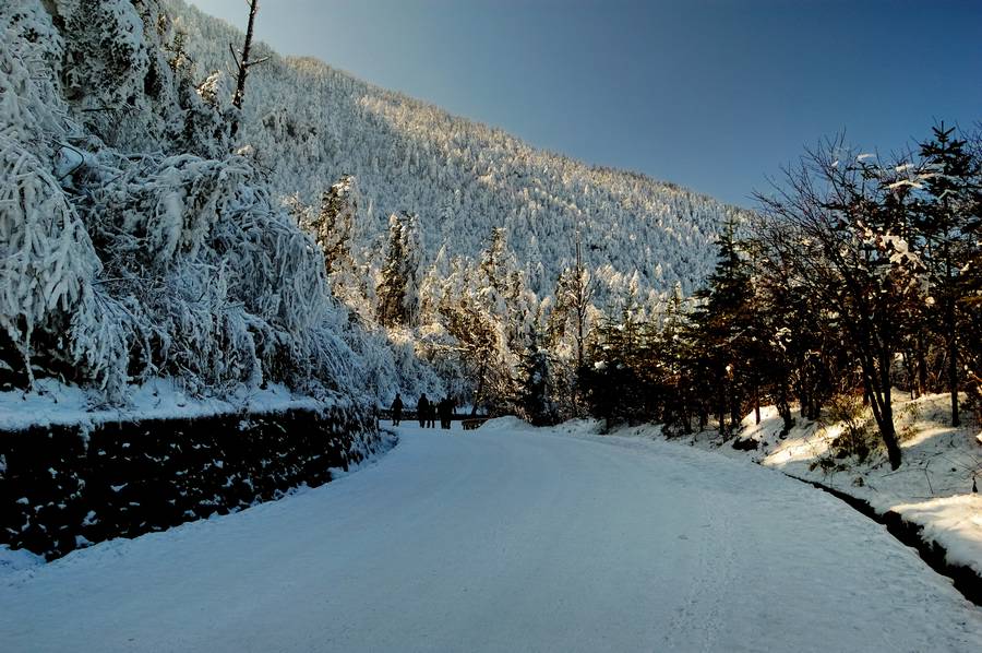 峨眉山雪景1－银妆素裹 摄影 弈天