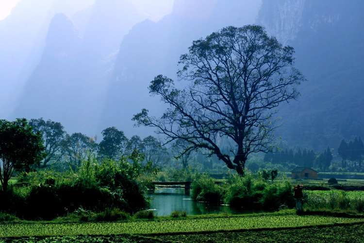 乡村小景 摄影 阳朔老罗