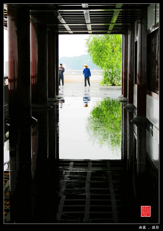 公园新雨后 摄影 湘麓