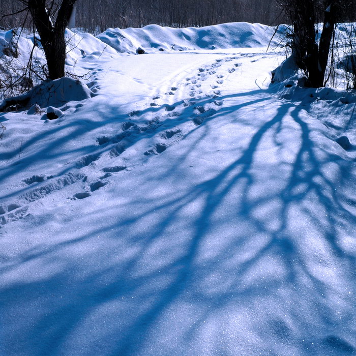 雪后的早晨 摄影 明浩