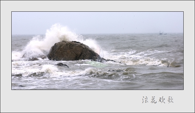 浪花飞歌 摄影 山野布衣