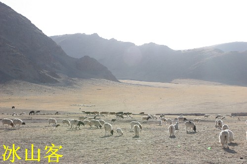 牧场 摄影 冰山客