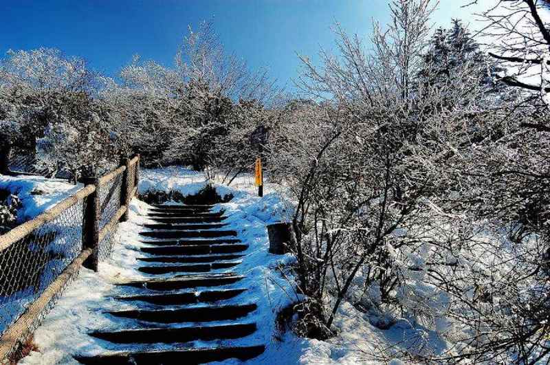 峨眉山雪景5 摄影 弈天