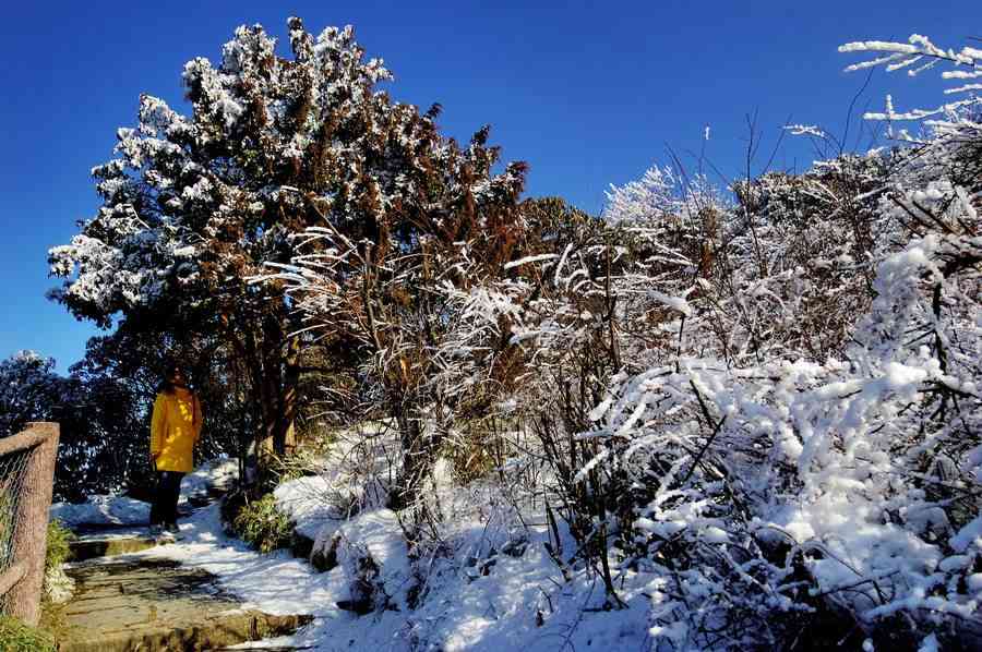 峨眉山雪景6 摄影 弈天