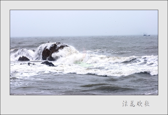 浪花飞歌 摄影 山野布衣