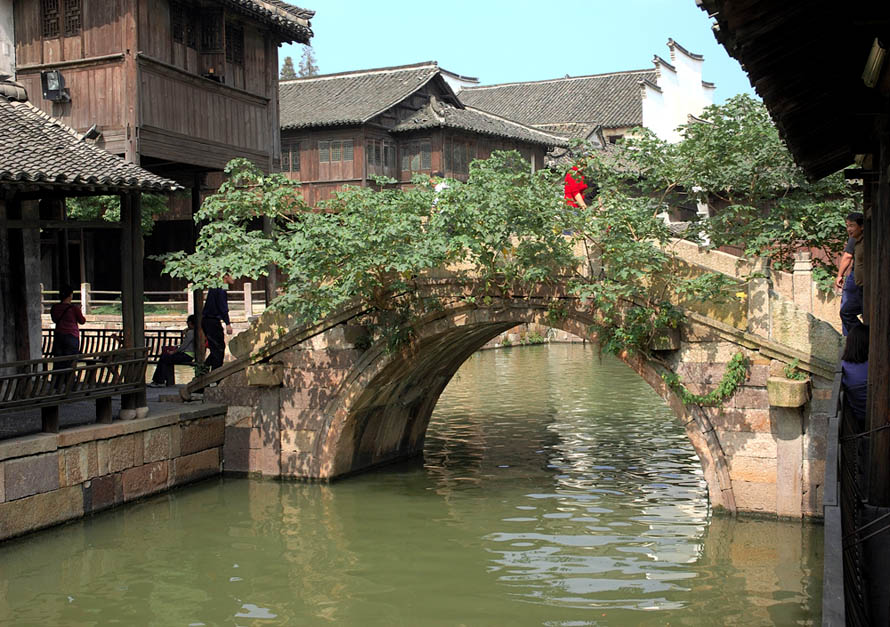 水乡乌镇写实      太平桥《续》 摄影 芍园草