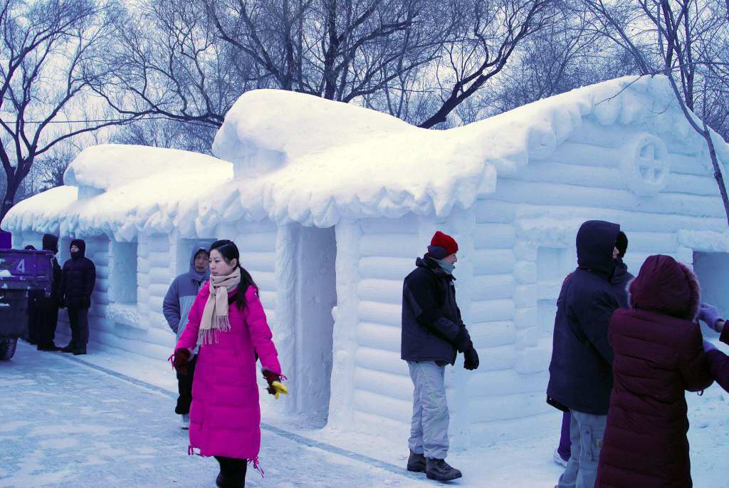 雪雕 摄影 公鸡头