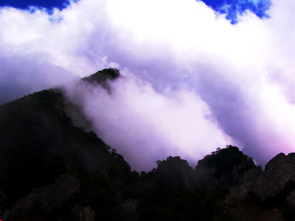 雾锁匡庐 摄影 绿竹青山