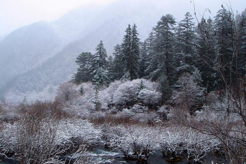 九寨沟雪景之四 摄影 镜头中的世界