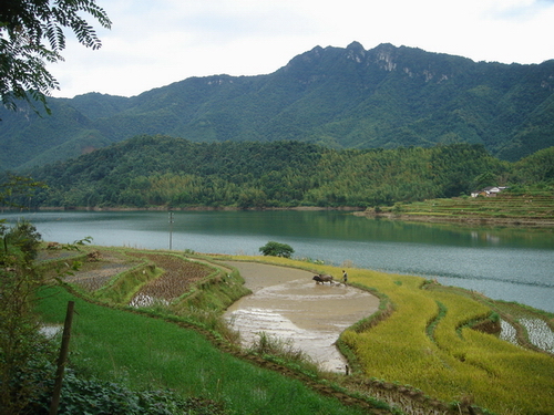 耕 摄影 小河淌水