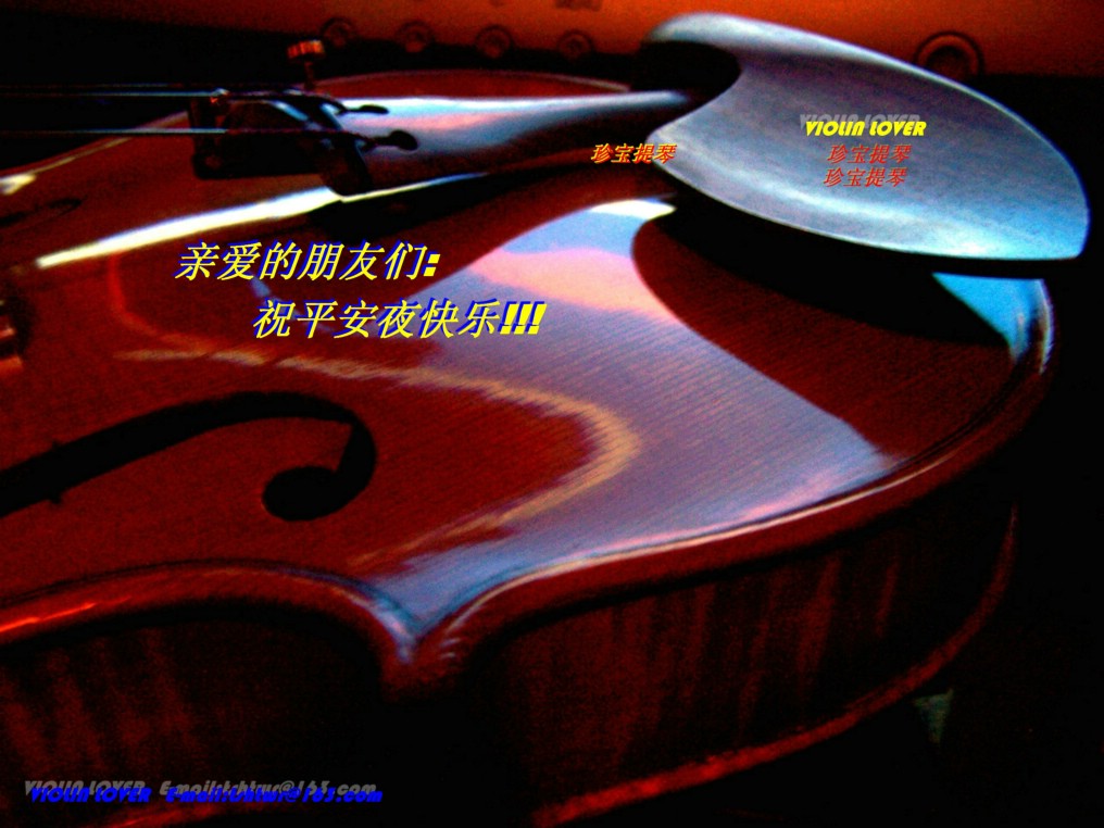 Violin----My_lover(610) 摄影 小提琴情人