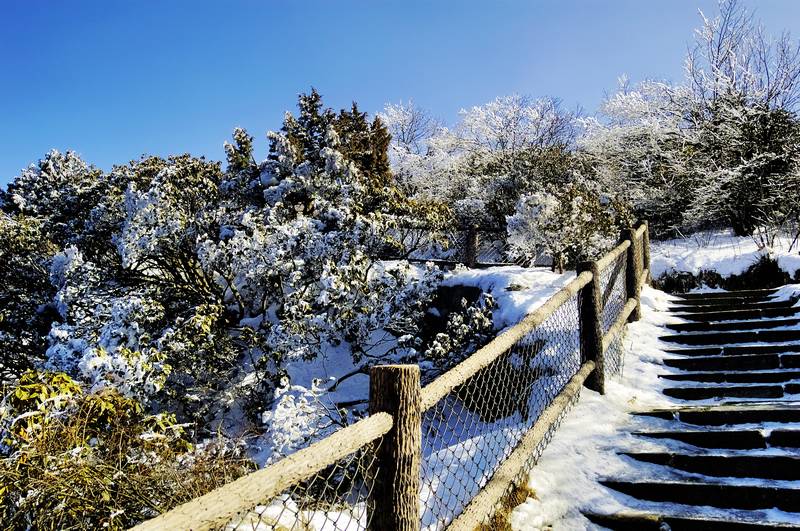 峨眉山雪景7 摄影 弈天