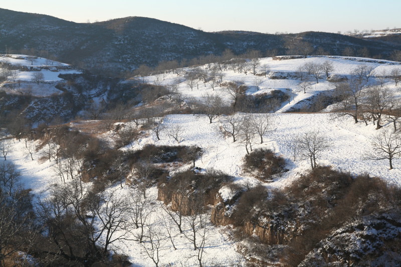 走四方之十九：晋西雪野 摄影 雪野