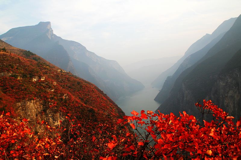 桃山晚照红＿＿三峡红叶 摄影 摄途