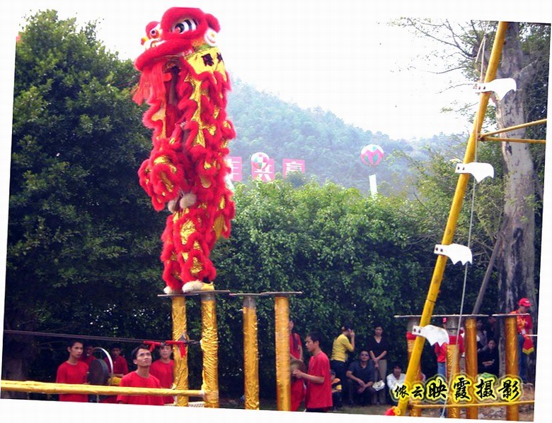 花博会 20  舞狮 摄影 侬云映霞