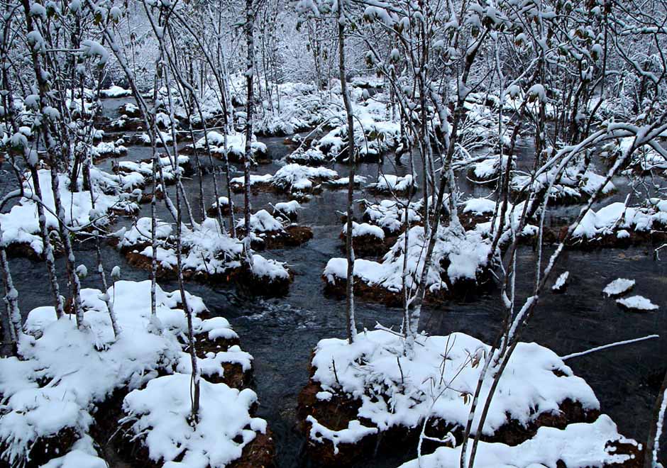 九寨沟雪景8 摄影 镜头中的世界