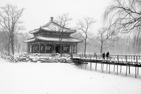 风雪圆明园 摄影 北京咖啡心情