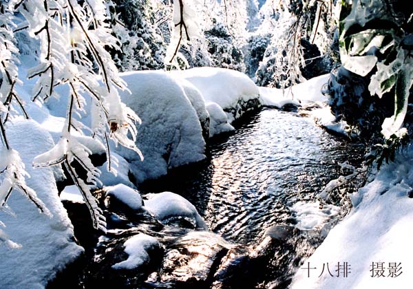 雪韵 摄影 十八排