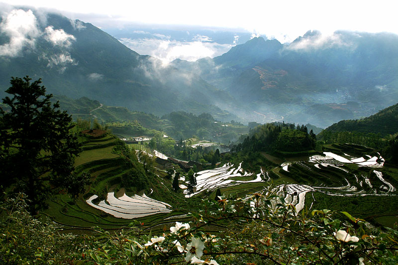 梅源梯田 摄影 蕉窗听雨