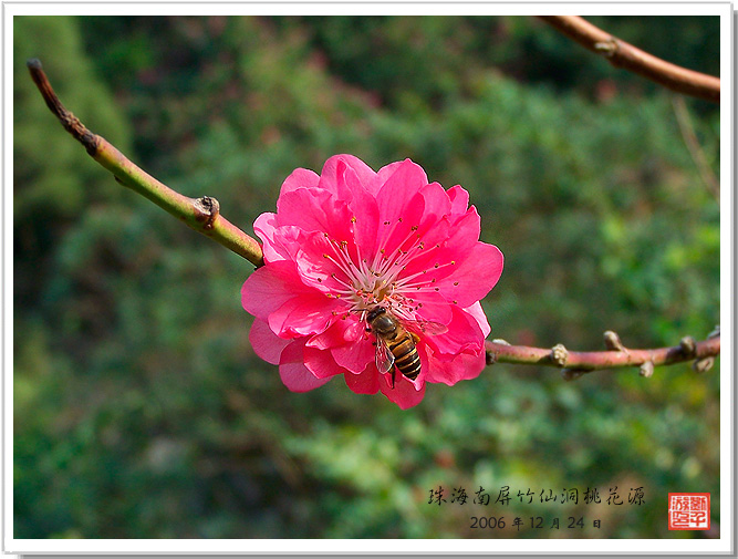 桃花源记 摄影 andyliu1977