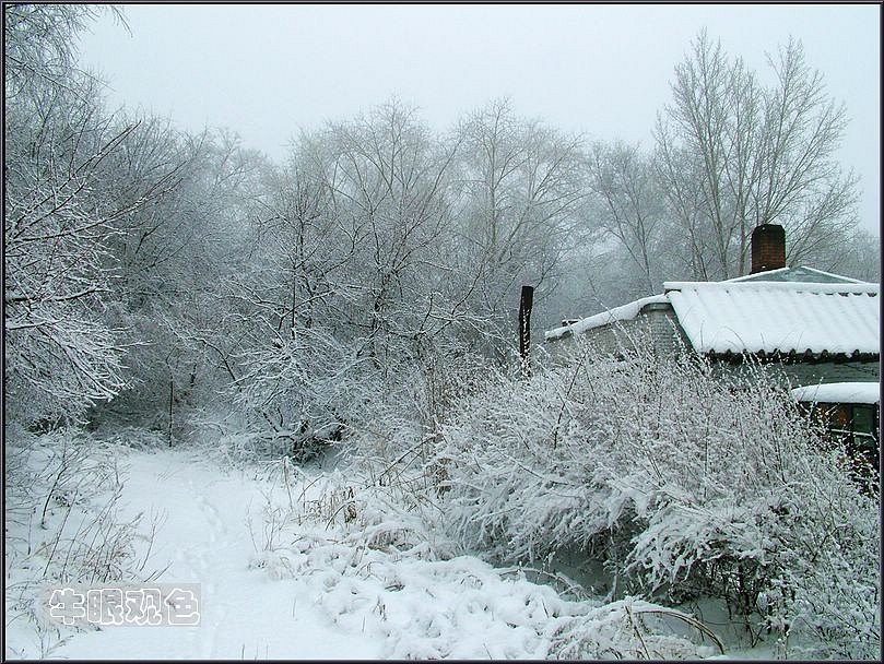 家住雪野 摄影 dull