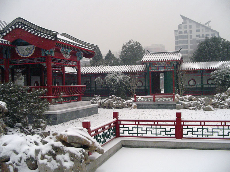 2006年北京入冬后第一场雪 摄影 陕北农民