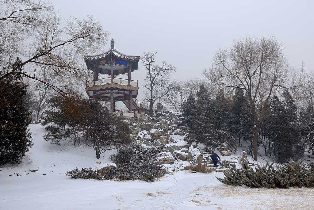 2006年北京的第一场雪 摄影 dange