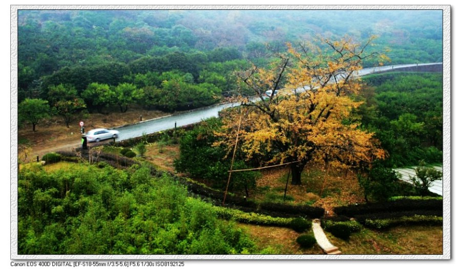 窗外的风景 摄影 瑜伽女