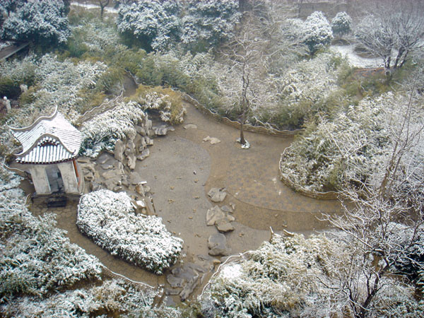 冬 摄影 寒夜冷雪