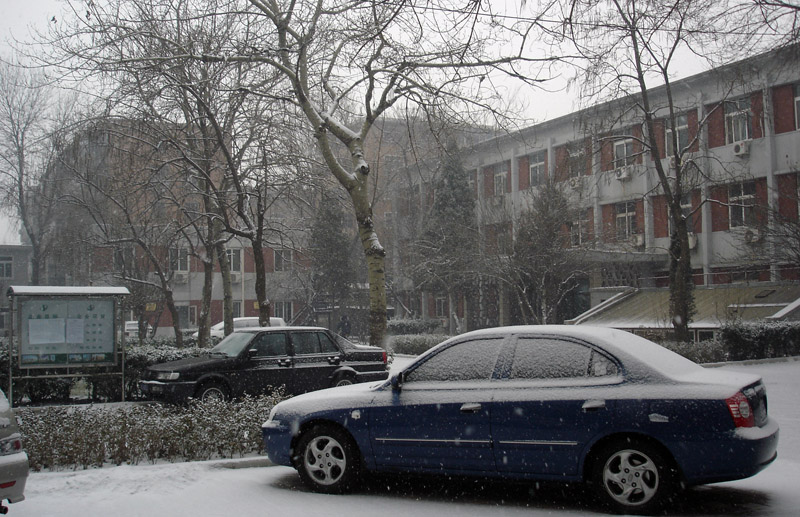 小雪 摄影 良宵