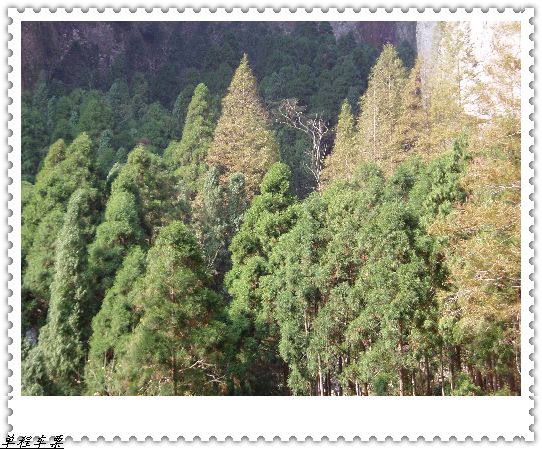 雁荡山风景之二 摄影 票票