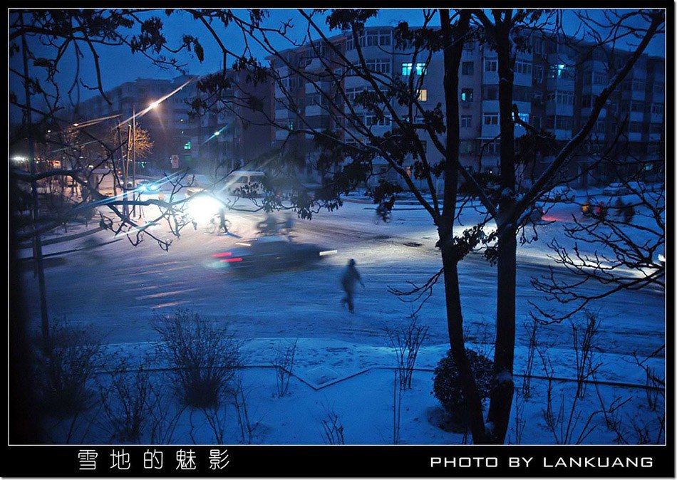 雪地的魅影 摄影 lankuang