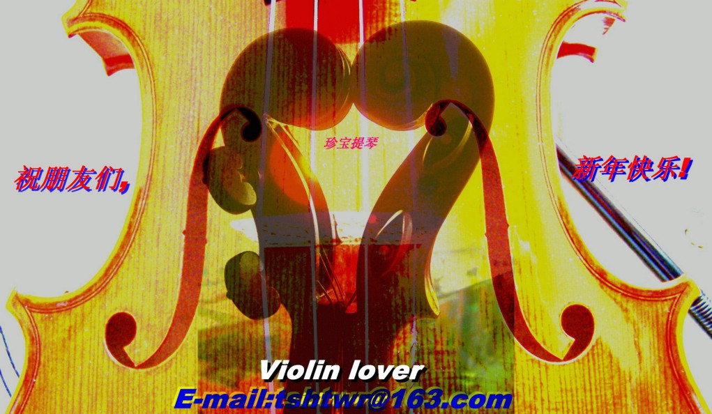 Violin----My_lover (626) 摄影 小提琴情人