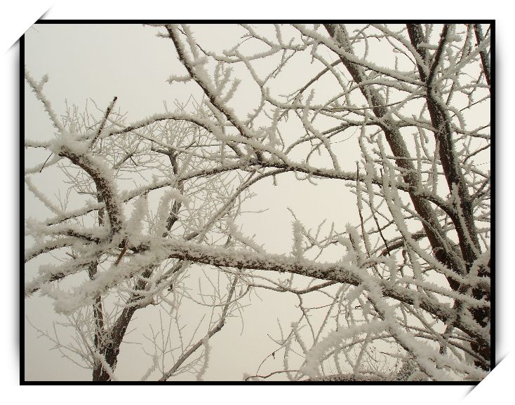 2007年的第一场雪 摄影 水光山色