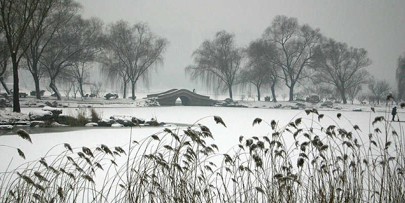 玉渊潭雪景2 摄影 wzy