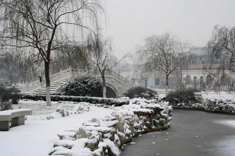 雪后 摄影 逃荒