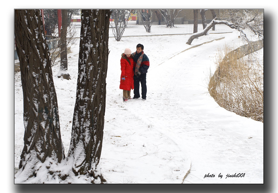 雪中情2 摄影 金石001