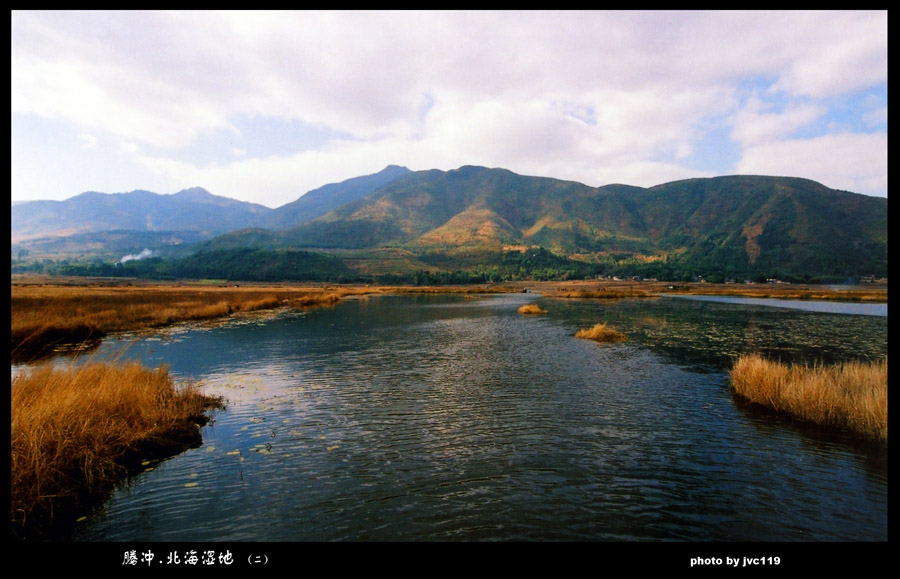 藤冲.北海湿地 （二） 摄影 jvc119