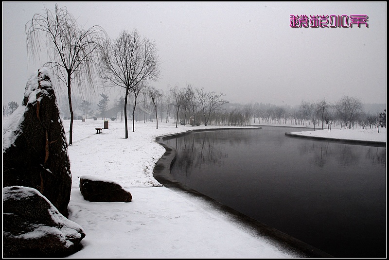 雪后小景 摄影 掠彩夺风