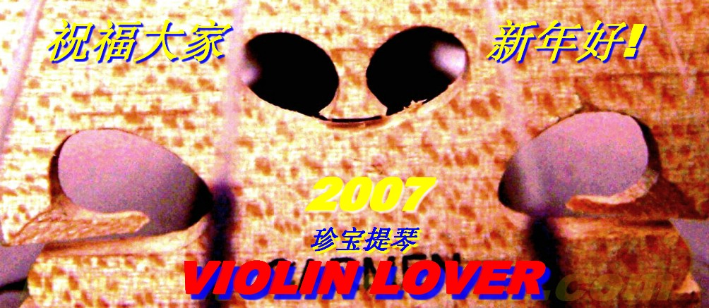 Violin----My_lover(700) 摄影 小提琴情人