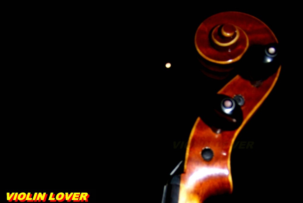 Violin----My_lover(702) 摄影 小提琴情人