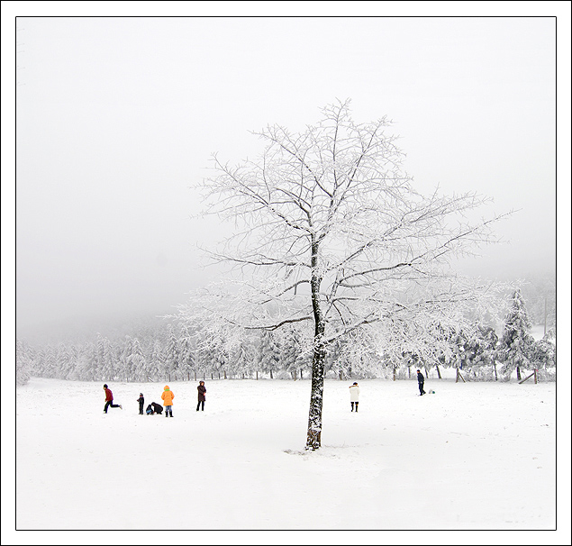 冬雪 摄影 好摄之人