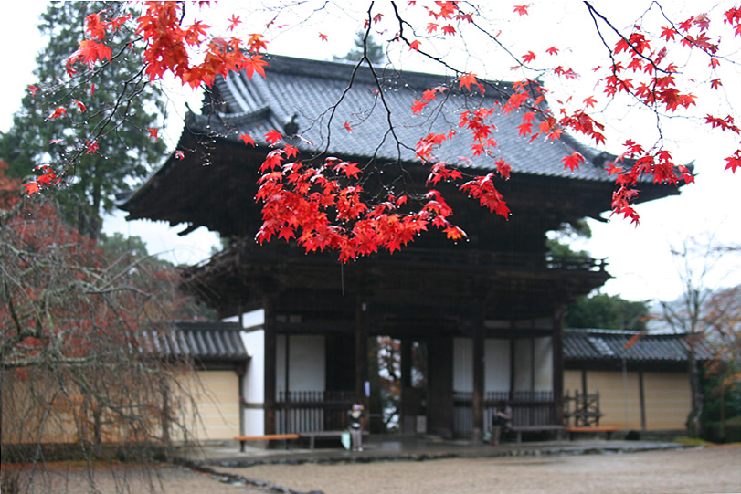 京都红叶—— 雨中景 摄影 漂泊的云