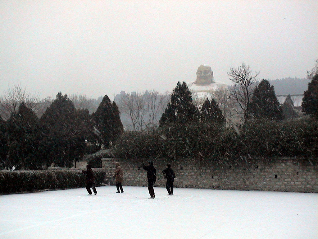 第一场雪 摄影 阳光金子