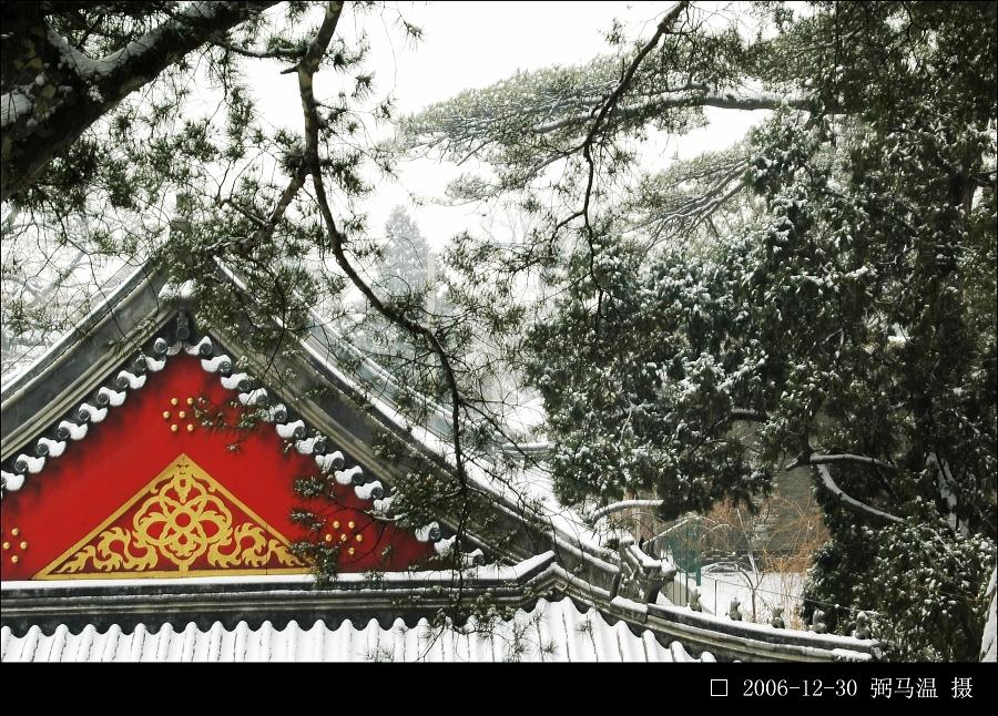 香山雪景 摄影 弼马温99